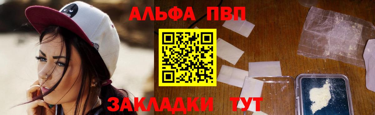 Alfa_PVP СК КРИС Кизилюрт