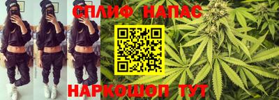крисы Кимры
